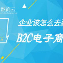 電子商務 數字時代的商業革命