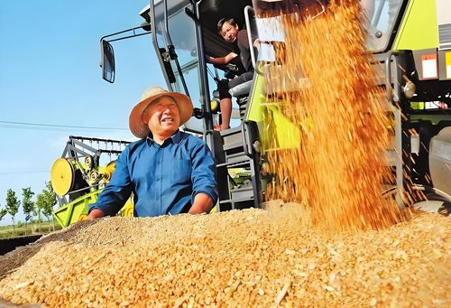 增效50%！揭秘糧食大廠的秘密武器——安達(dá)發(fā)APS生產(chǎn)排產(chǎn)軟件