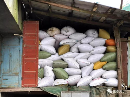 官方辟謠糧倉(cāng)充足，市民勿需恐慌性搶購(gòu)