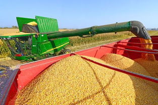 世界糧食日 糧食加工背后，那些被忽視的農(nóng)機(jī)故事