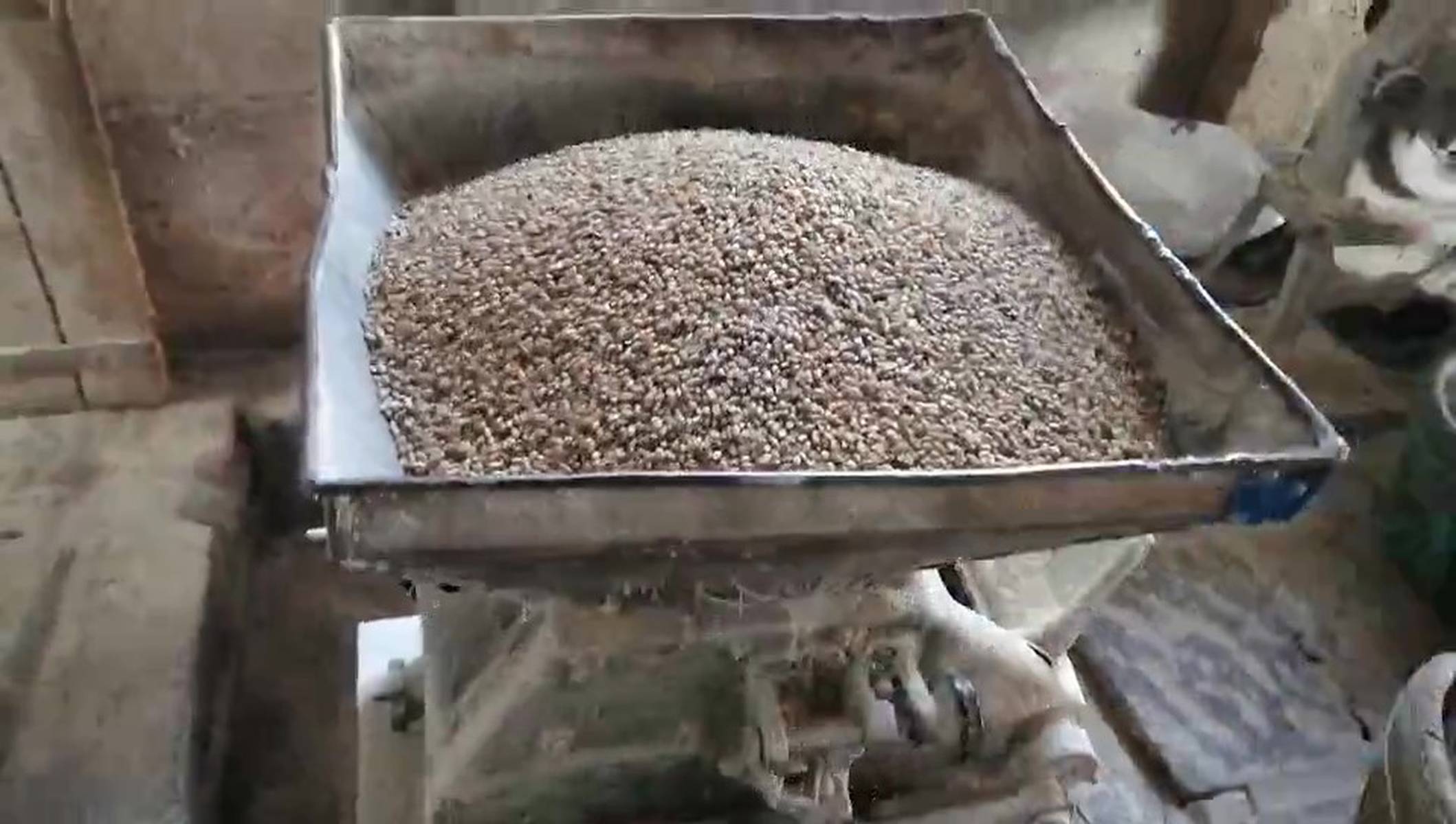 春日暖陽下的等待 糧食加工坊前的面條長龍