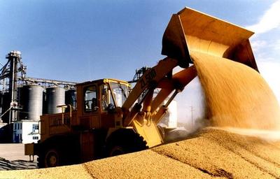 解讀糧食消費大數據 端穩飯碗，品味變遷中的糧食加工