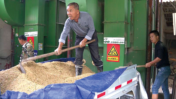 微網格長出手，破解“曬糧難”助力糧食加工