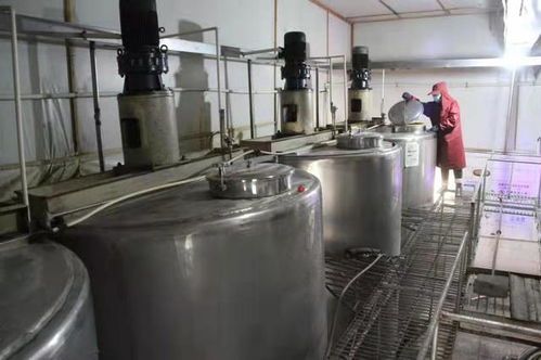 山西陽城 深耕糧食加工鏈條，賦能鄉村產業振興